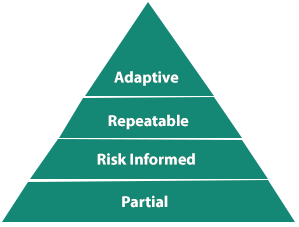 Mitigate Cyber Risk